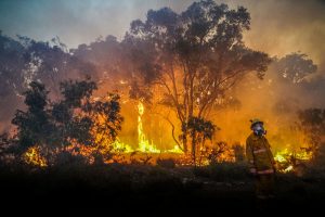 Nyugatról erdőtűz, keletről pedig áradás csapott le Ausztráliára (videókkal)