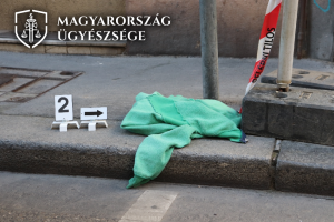 Vádat emeltek a Deák téri kettős gyilkosság ügyében