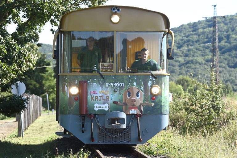 Jó hír a gyerekeknek: irány kirándulni