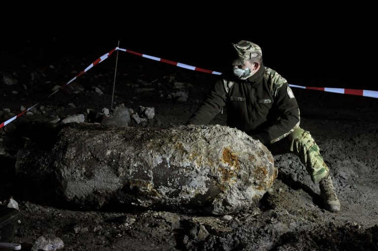 Robbanóanyag-kereső kutyává képeznek ki egy Nógrád megyei bántalmazott juhászkutyát