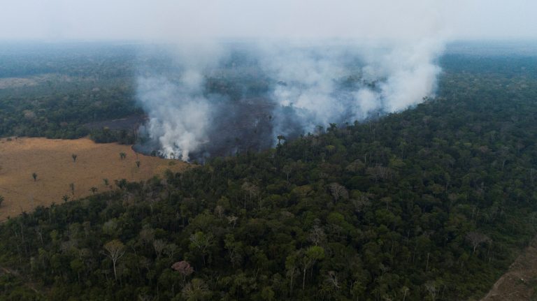 Kivonják azokat a marhahúsokat az európai boltokból, amelyek az Amazonas irtásához köthetők