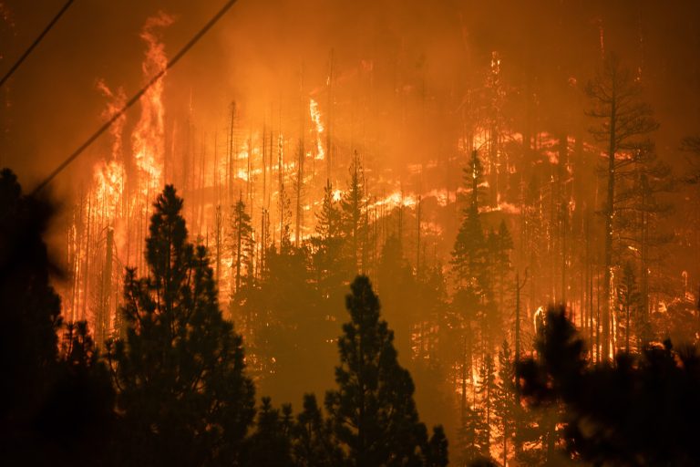Apa és fia bilincsben: megtalálták a több mint 1000 házat felemésztő kaliforniai erdőtűz felelőseit