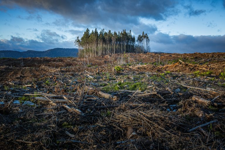 Geomérnöki eljárásokkal oldhatják meg a klímaváltozás problematikáját