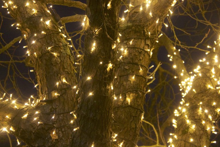 Lesújtó eredményekkel végződött a karácsonyfaégők ellenőrzése