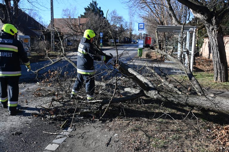 Országszerte több helyen is áramkimaradást okozott a szélvihar