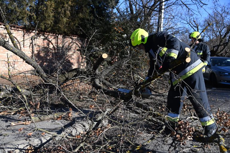 A viharkárok miatt kedd délelőttig jelentős késésekkel kell számolni a ceglédi vasútvonalon