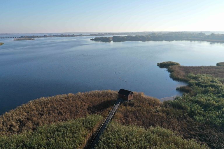 Süllők tömkelege fagyott halálra a Tisza-tóban