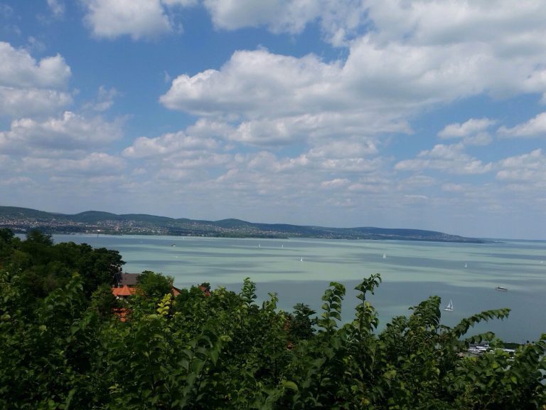 Szó szerint virágzik a Balaton – elkészült a Magyar Tenger zöldtérképe