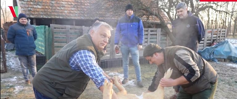 Orbán Viktor disznóvágáson járt, itt a hivatalos videó