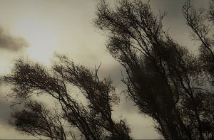 Akár 100 km/órás szélvihar is jöhet vasárnap