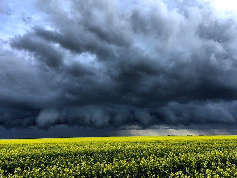 A vihar a mezőgazdaságban is károkat okozott
