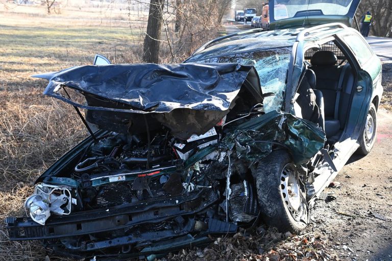 Helyszíni képek a Vác és Verőce között történt halálos autóbalesetről