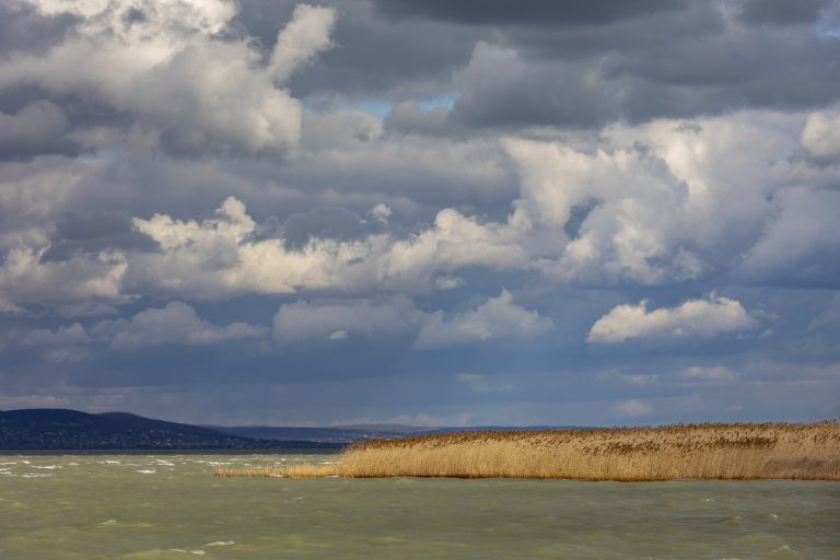 Hétszeresére nőtt a kiirtott nádas területe a Balatonon, mindössze öt év leforgása alatt