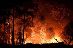 Kilyukasztja az ózonréteget a világszerte tomboló erdőtüzek füstje