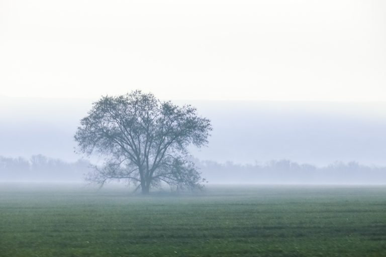 Hűvös péntekünk lesz, helyenként záporokkal