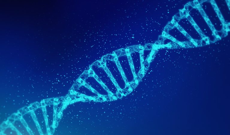 DNS-minták alapján felelevenítették az emberiség egyik legnagyobb vándorlását