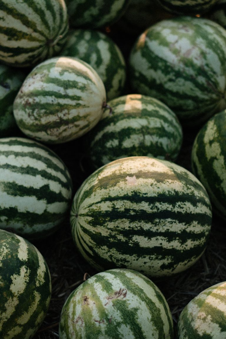 Érezhetően drágább lehet idény nyáron a dinnye, de van még valami