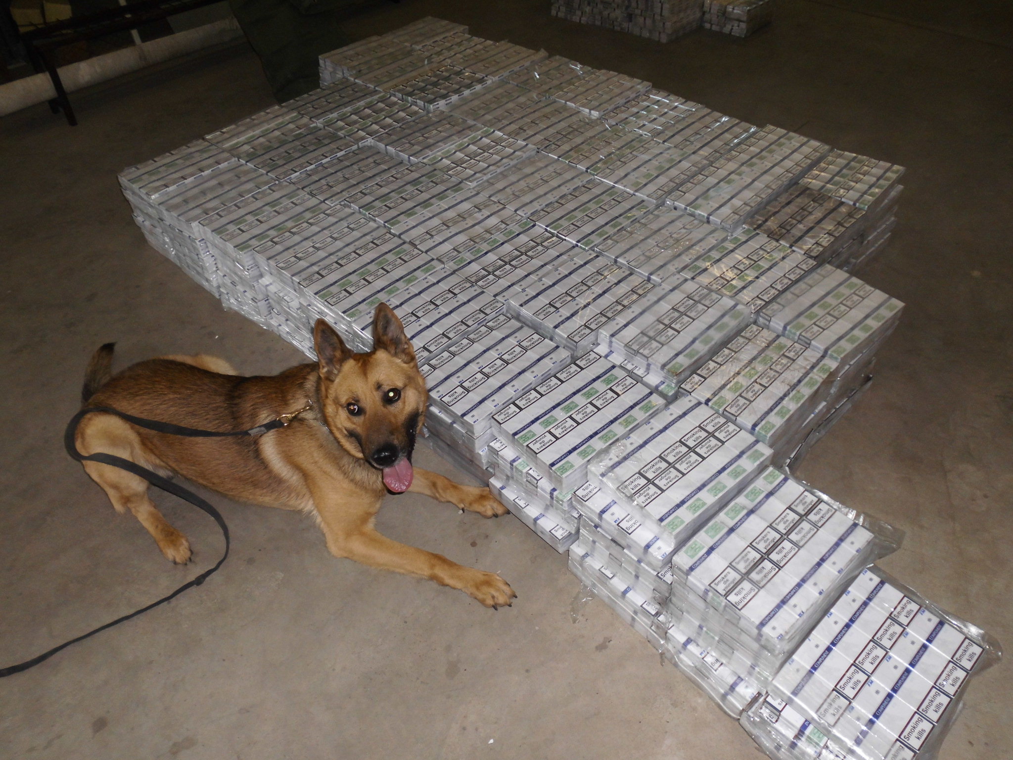 Gyanús lett a pénzügyőröknek egy fánkos kamion