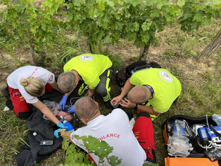 Megrázó részletek a szőlőhegynél talált, majd elhunyt csecsemőről: életfogytiglant kaphat az anya