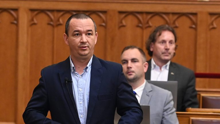 Jelentősen módosítaná a Mi Hazánk a katát, emelnék az értékhatárokat