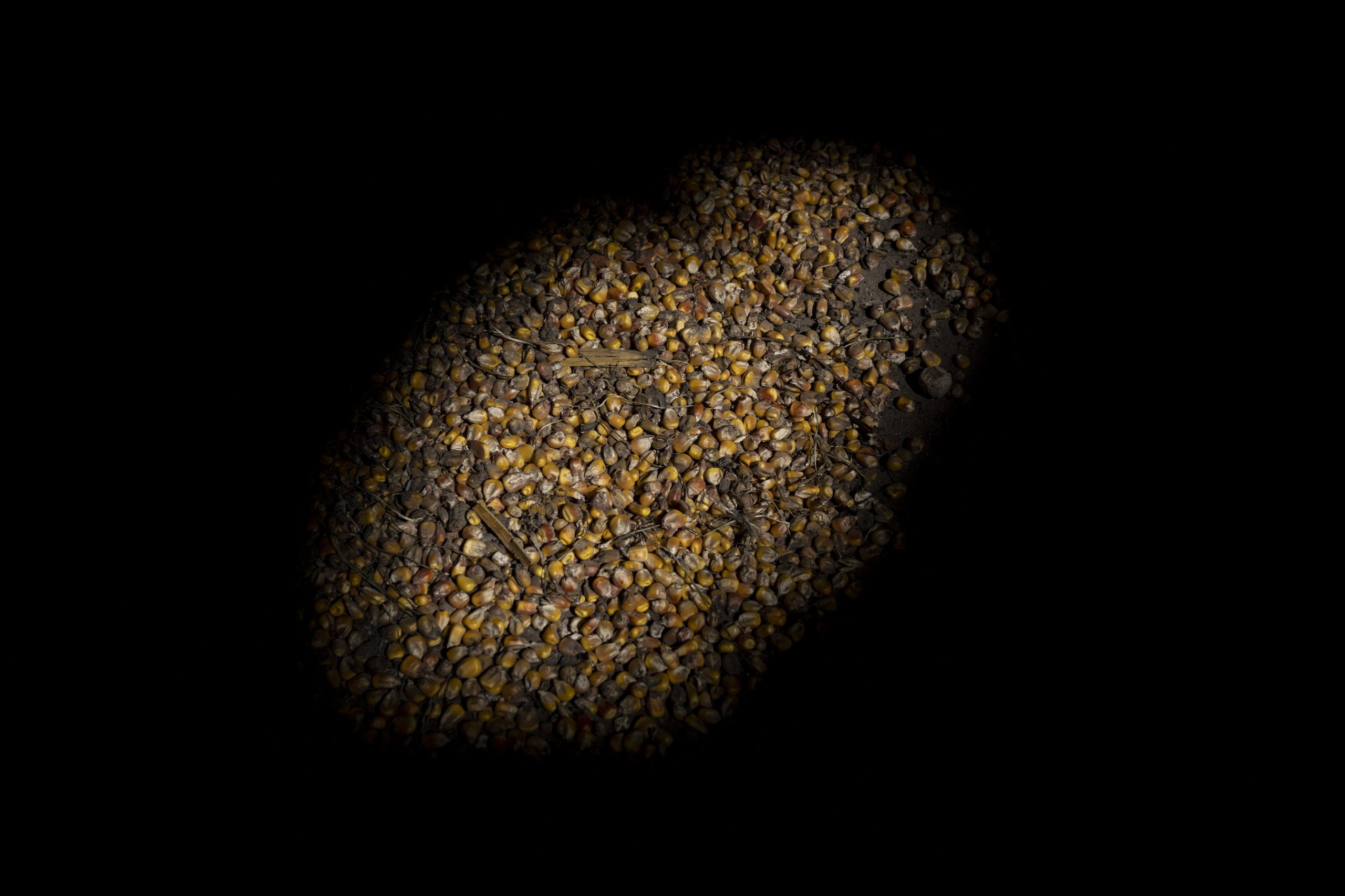 Bombázás közben vetni és aratni sem tudnak az ukránok, Oroszország súlyos kritikát kapott odafentről