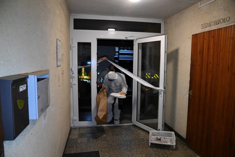 Aszódi kettős gyilkosság: tényfeltáró vizsgálatot rendelt el az országos rendőrfőkapitány