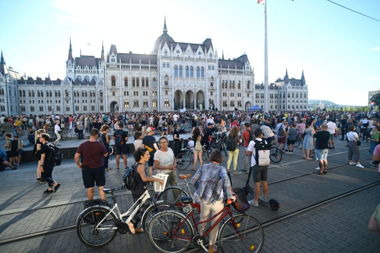 Megbüntették a DK aktivistáját a tüntetésen, a párt kifizeti