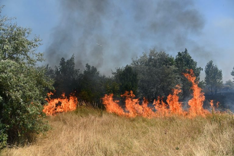 Negyvenkét hektárnyi gabona és tarló égett le Somogy megyében