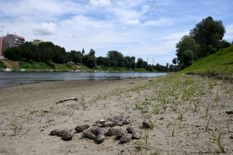 Szomorú képet fest a Tisza Szolnoknál (galéria)