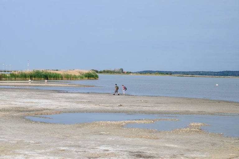 Figyelem: fürdési tilalmat rendeltek el a Velencei-tónál, a Pisztráng úti strandon