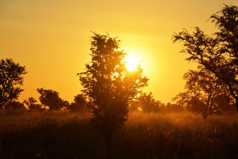 Nagyon kemény lehet a péntek, 37°C is lehet