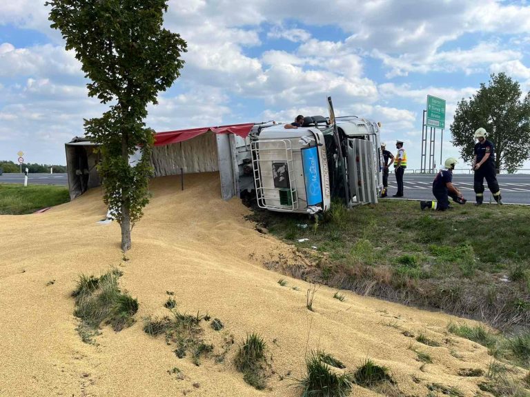Felborult egy kamion Sárvár közelében, több tonna takarmány ömlött a szántóföldre