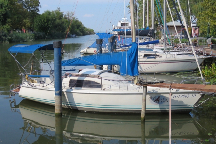 Nem tudtak vízibiciklit bérelni a Balatonnál, ezért inkább elkötöttek egy csónakot és egy motort