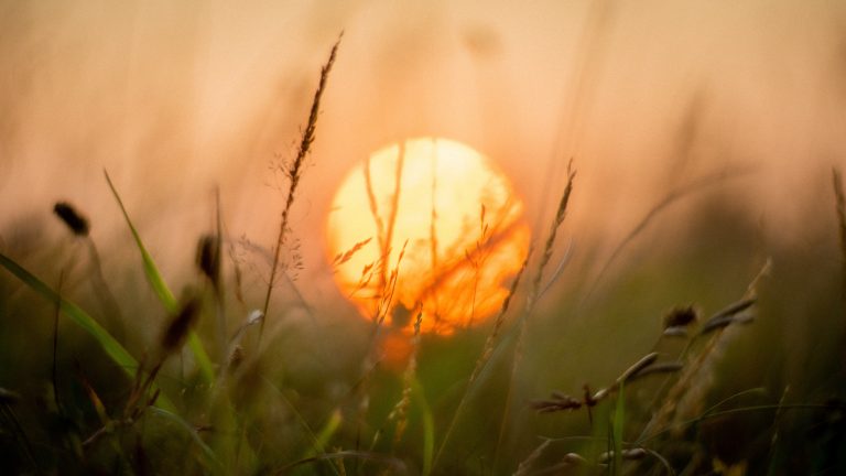 Melegedni fog az idő, majd érkezik a jelentős lehűlés