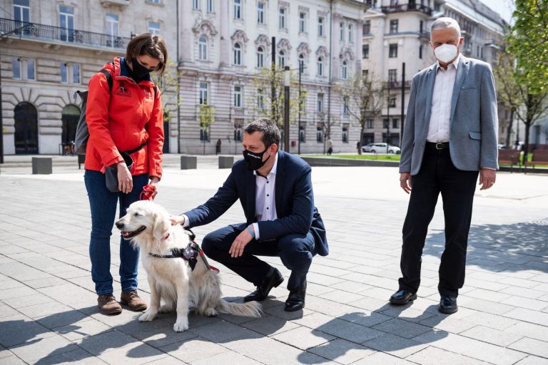 Fülöp: a kormány programokkal kívánja segíteni a vakokat és a gyengénlátókat