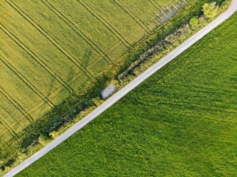 Szlovákia a Beneš-dekrétumokra hivatkozva kobozna el magyar tulajdonú földet 