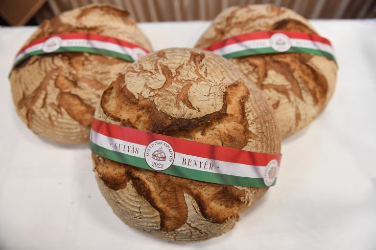 1000 tonna búza gyűlt össze a sikeres Magyarok kenyere programban