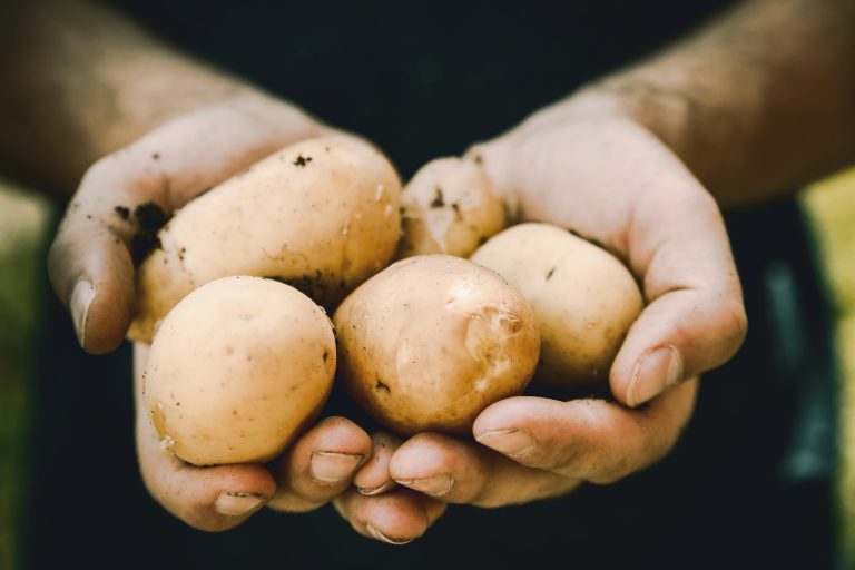 Szabadulnának a zöldségektől a termelők, nem éri meg tárolni