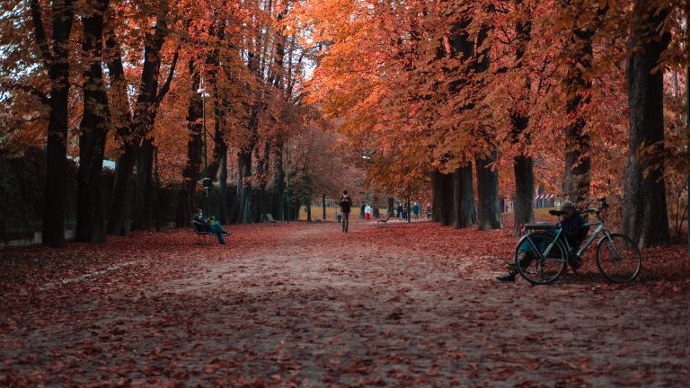 Egyre melegebbek az őszi hónapok, már semmi sem a régi