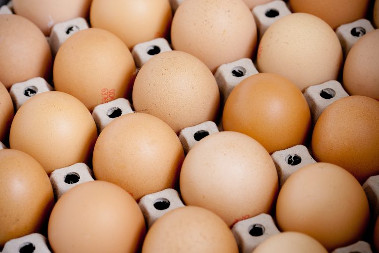 Árlista: a tojás ára 87,9%-kal lett drágább 1 év alatt