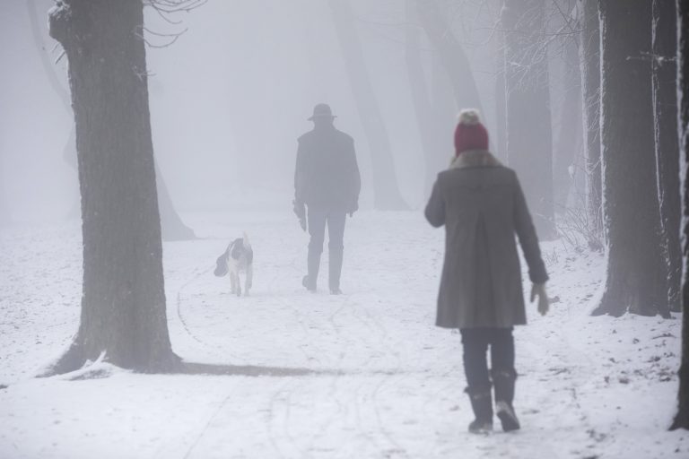 Normafa: a pályák kizárólag saját felelősségre használhatók