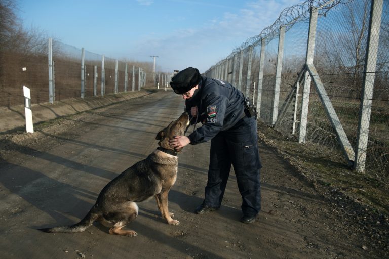 Félszáz határsértőt tartóztattak fel hétvégén a déli határon