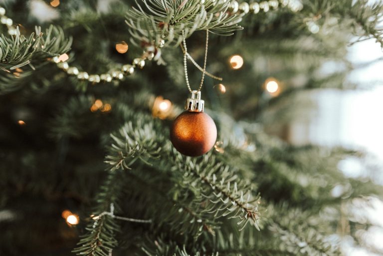 Ezekre figyelj, ha azt szeretnéd, hogy sokáig friss maradjon a karácsonyfa