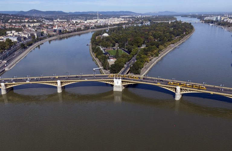 Kilőtték a Margitszigeten kószáló vaddisznót