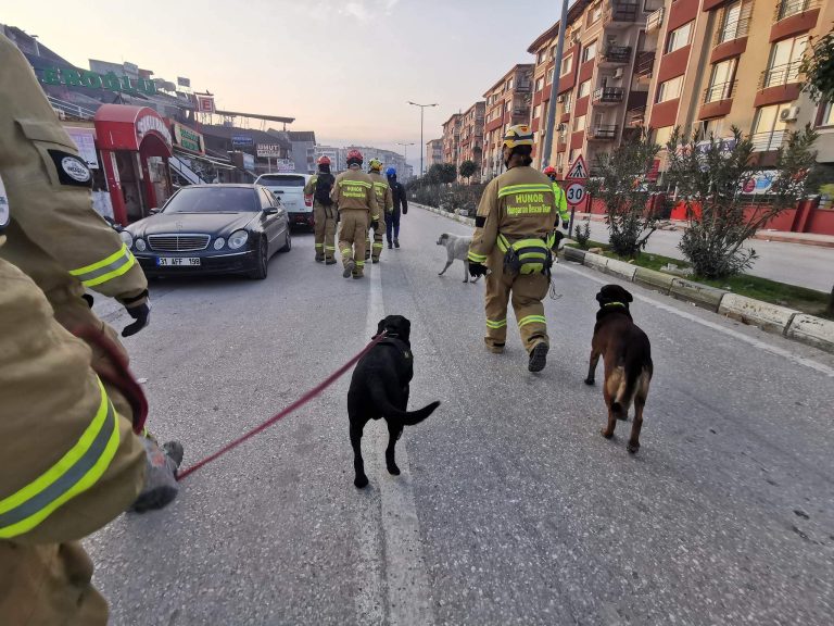 Törökország: újabb magyar keresőkutyák csatlakoztak a Hunor mentőcsapathoz
