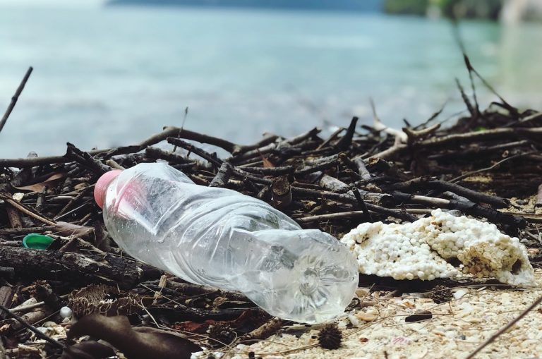 Egyre csak nő az egyszer használatos műanyatermékek gyártási volumene