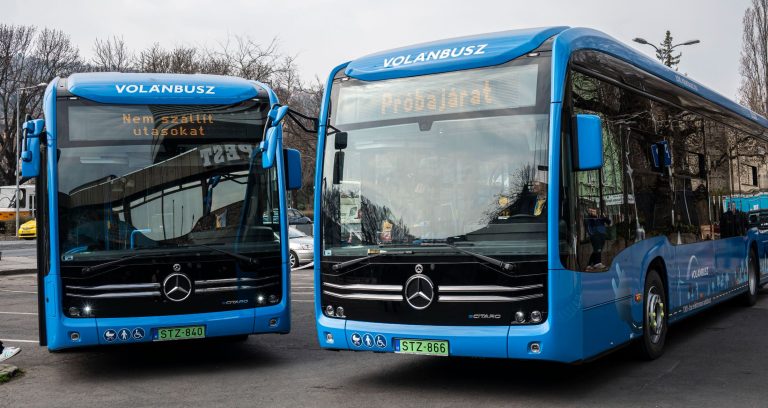 E-buszsimogató programra vár mindenkit a Volán a hétvégén a Budakeszi Vadasparkban