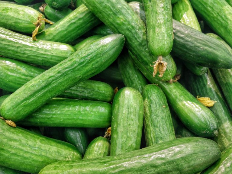 Jóval olcsóbb lett a magyarok egyik kedvelt zöldsége