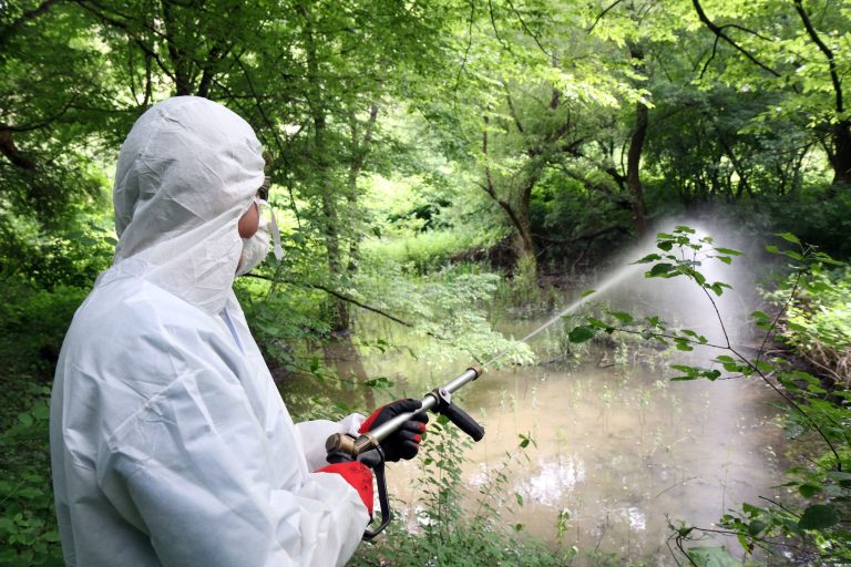 Az erősödő ártalom miatt 85 ezer hektáron irtják a szúnyogokat a héten