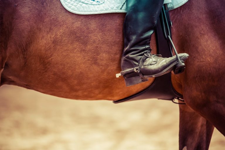 Saját lova zúzta halálra a fiatal lányt egy floridai lóversenyen